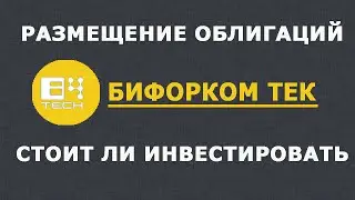 Размещение облигаций Бифорком: стоит ли инвестировать?