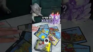 WHAT DOES HE WISH FOR?🌪️❤️‍🩹Tarot spread
