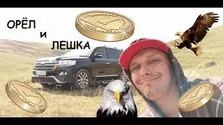 Орёл и Лешка *Дагестан*
