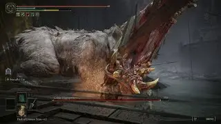 Elden Ring boss fight DLC, Golden Hippopotamus, Finally I killed him alone!