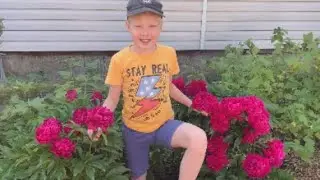 Наши цветы!   Огурцы.  Привет от внуков!
