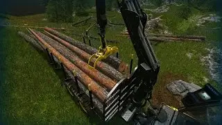 Farming Simulator 17:  Forestry