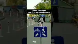 Junior developer after reading documentation. 
