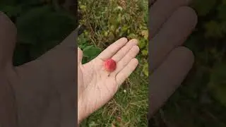 17 августа 2024 г.