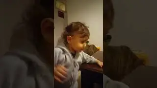 Котик , собачка и индюшонок)