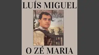 Valsa Dos Acordeonistas