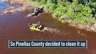 Pinellas Snapshot Chesnut Park Lake Tarpon Clean Up