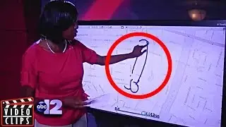 FUNNIEST NEWS REPORTER FAILS