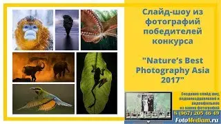 Слайд шоу из фотографий победителей Nature’s Best Photography Asia 2017