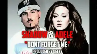 Adele feat. Shadowink 