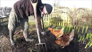 Winter Flower bed Dig Over.