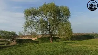 ТАК И ЖИВЁМ... дерЁвня (#Фсёпро100)