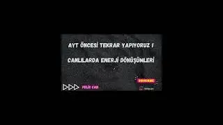 #ayt AZ ZAMAN KALDI! 🏃‍♀️ TEKRAR YAPIYORUZ! 🏃‍♀️ #yks2023 #ayt2023 #tyt2023