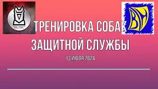 #тренировка_собак ЗС 13 июля 2024