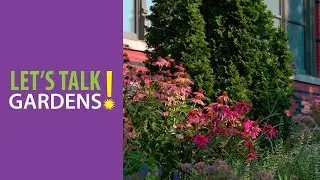 Changes in Perennial Gardening in the US Over the Past 50 Years