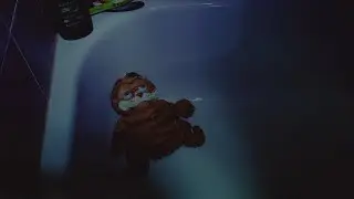 life of garf
