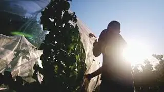Meet the winemaker