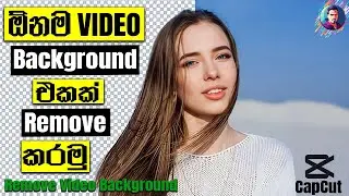 How To Remove Video Background | Top Video Background Remover Tools 2024 | Sinhala