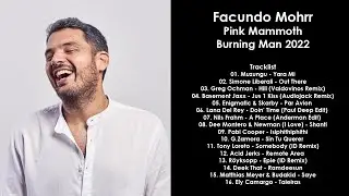 FACUNDO MOHRR (Argentina) @ Pink Mammoth, Burning Man 2022