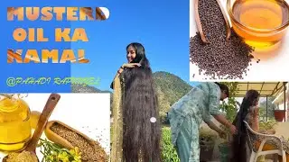 Hair Oil Massage Therapy | Extreme Hair Growth | Home Remedies | Thick, Heavy and long Hair