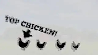 Horse Herds Hierarchy - We're top chicken