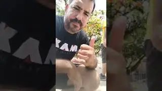 Wing chun - diário de treino