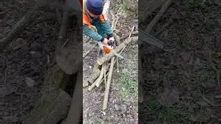 Stihl msa161