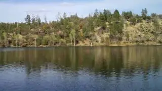 Lynx Lake