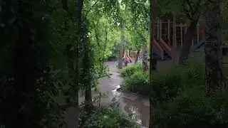 Погода шепчет... 
