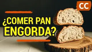 ¿COMER PAN ENGORDA? | Ciencia de la Comida