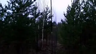 первые щуры с рассвета 21/10-23г.