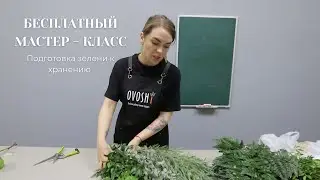 БЕСПЛАТНЫЙ МАСТЕР - КЛАСС Подготовка зелени к хранению