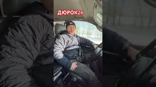 #поросята