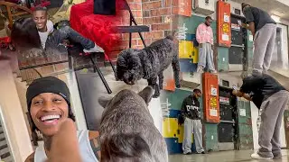 I Don’t Think Kash Likes My New Dog..😥 (Episode 100)