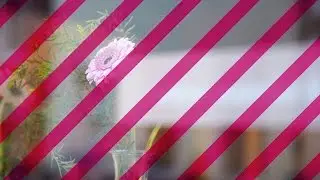 Trinität – Was soll das? | 5.12.1