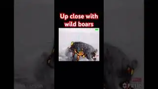 Can you get closer ?? 🤔