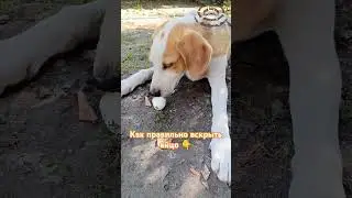 Мастер-класс от Амура #babyshka_bloger #бабушка_блогер #деревенскаяжизнь  #деревенскаябабушкаблогер