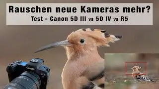 Rauschen neue Kameras mehr? Bildqualität Vergleich der Canon EOS 5D III, 5D IV und Canon R5