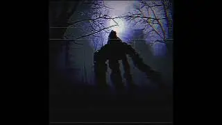 Analog Horror - Alphinian Scarcity | Documentary 1 “The Seeker”