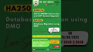 SAP BASIS Implementation Topics (projects)