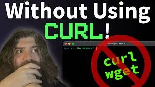 Making an HTTP request in Bash without `curl` or `wget` - on *any* OS (Linux, Mac, illumos, etc.)