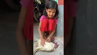 Aj Kritika ki Ak Family Member Chale Jaaye 😭😭😭