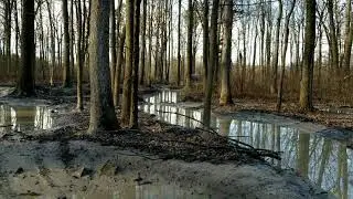 Maverick Trail Mud Run