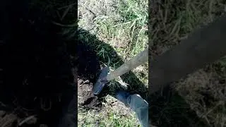 Фишер и чермет2
