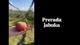 Prerada jabuka 2025.
