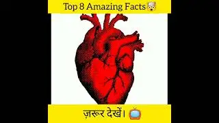 Most Amazing Facts | facts in Hindi | Amazing Facts | Random Facts #shorts