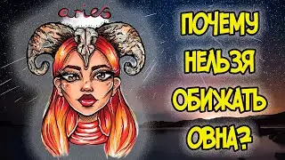 WHY SHOULD YOU NOT OFFEND ARIES?