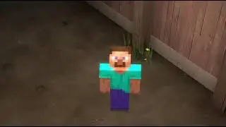 steve.mp4