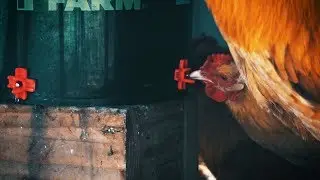 Thoughts on the winter chicken feeder and water system and a few  summer plans