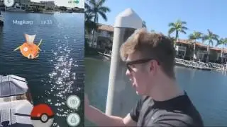 Факты о игре POKEMON GO  Покемон Го